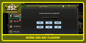 Huong Dan Nap Flashpay